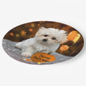 Halloween, Maltezer Pup, Papieren Bordje (Gekanteld)