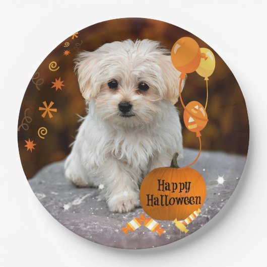 Halloween, Maltezer Pup, Papieren Bordje (Voorkant)