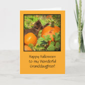 Halloween met Cute Cat Pumpkins voor kleindochter Kaart (Voorkant)