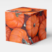 Halloween Mini Pompoen Herfst Herfstpatroonfoto Bedankdoosjes (Voorkant Zijde)