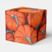 Halloween Mini Pompoen Herfst Herfstpatroonfoto Bedankdoosjes (Achterkant)