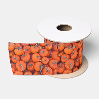 Halloween Mini Pompoen Herfst Herfstpatroonfoto Satijnen Lint