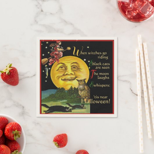  Halloween Moon Watching Witch met Gedicht Servet (Insitu)