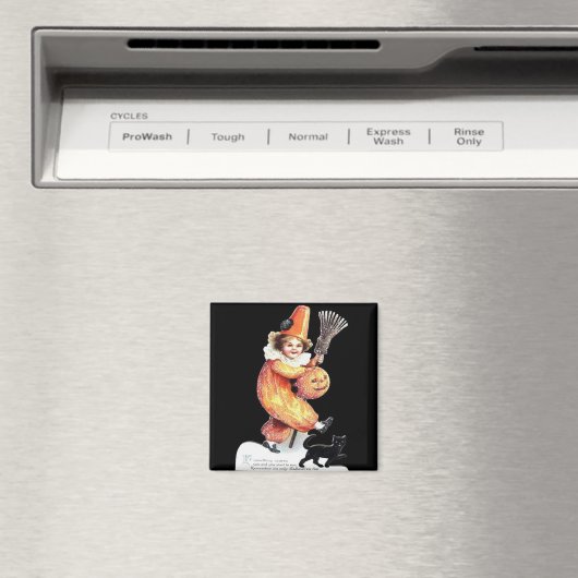  halloween mousserende kostuum magneet (Insitu (Vaatwasser))