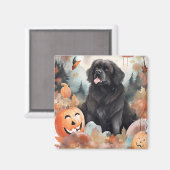 Halloween Newfoundland met pompoenen eng Magneet (Voorkant / Achterkant)
