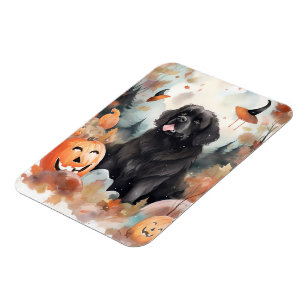 Halloween Newfoundland met pompoenen eng Magneet
