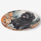 Halloween Newfoundland met pompoenen eng Papieren Bordje (Gekanteld)