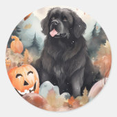 Halloween Newfoundland met pompoenen eng Ronde Sticker (Voorkant)