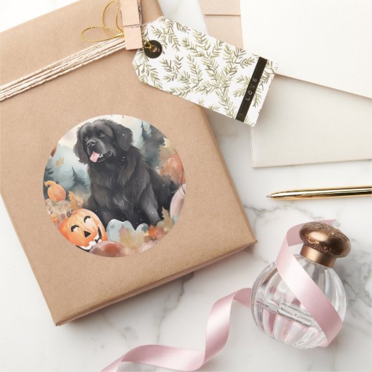Halloween Newfoundland met pompoenen eng Ronde Sticker (Geschenken)
