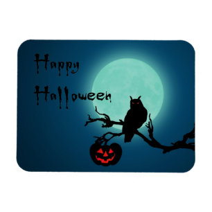 Halloween Night Pumpkin Owl Magneet