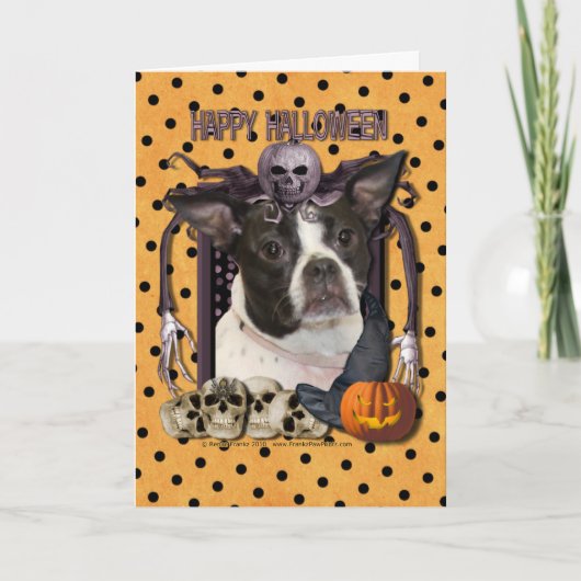 Halloween Nightmare - Boston & Rat Terrier - Jazy Kaart (Voorkant)