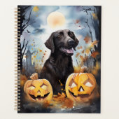 Halloween Nova Scotia met pompoenen eng Planner (Voorkant)