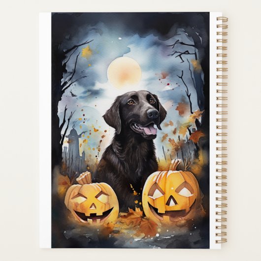 Halloween Nova Scotia met pompoenen eng Planner (Achterkant)