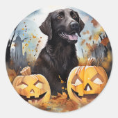 Halloween Nova Scotia met pompoenen eng Ronde Sticker (Voorkant)