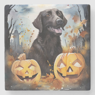 Halloween Nova Scotia met pompoenen eng Stenen Onderzetter