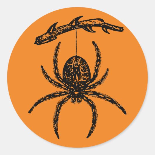 Halloween Oranje Spider Classic Round Sticker (Voorkant)