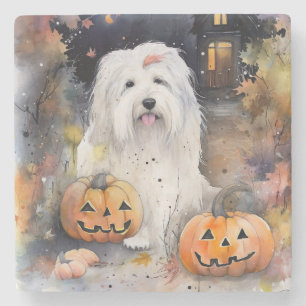 Halloween Oud-Engelse Schaapshond Met Pompoenen Gr Stenen Onderzetter
