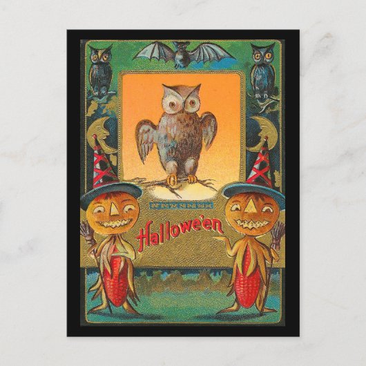  Halloween Owl Briefkaart (Voorkant)