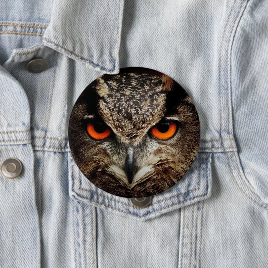Halloween Owl Button Pin (In situ)