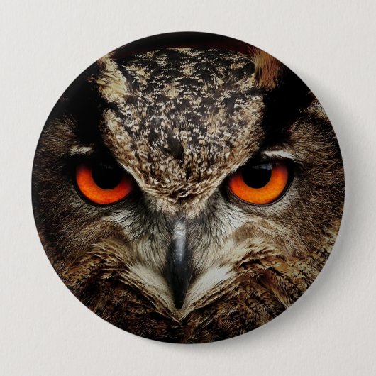Halloween Owl Button Pin (Voorkant)
