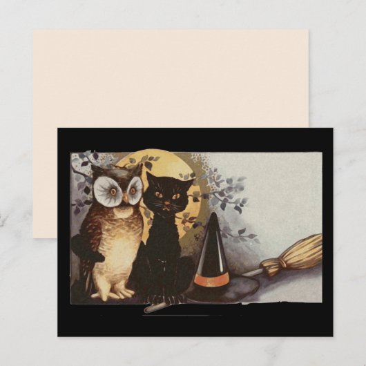 halloween owl en briefkaart van katten (Voorkant / Achterkant)