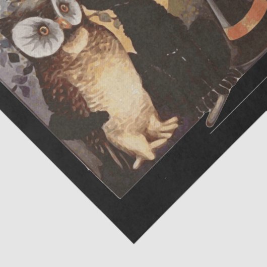 halloween owl en kattenpapier tissuepapier (Detail)