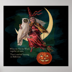  Halloween Owl en Witch Poster
