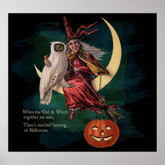  Halloween Owl en Witch Poster