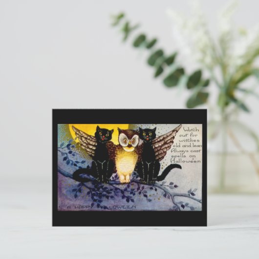 Halloween Owl en zwarte katten Briefkaart (Staand voorkant)