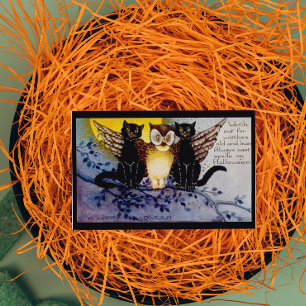 Halloween Owl en zwarte katten Kaart