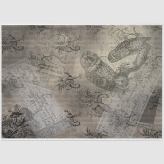 Halloween Owl Familie  Ephemera Tissuepapier (Voorkant)