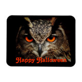 Halloween Owl Magneet (Horizontaal)