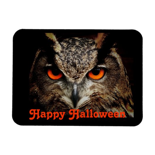 Halloween Owl Magneet (Horizontaal)