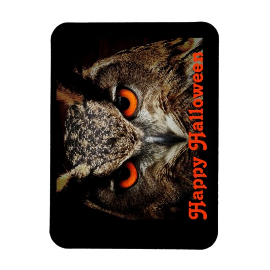 Halloween Owl Magneet (Verticaal)