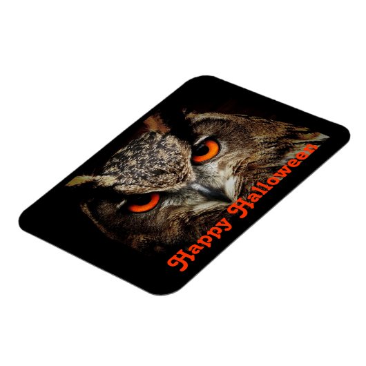 Halloween Owl Magneet (Linkerzijde)