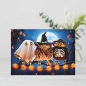 Halloween Owls Kaart (Staand voorkant)
