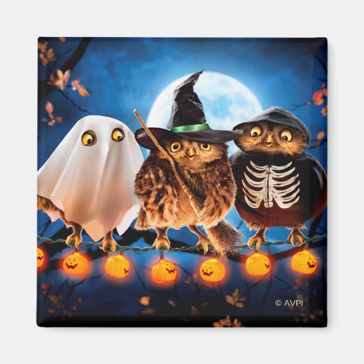 Halloween Owls Magneet (Voorkant)