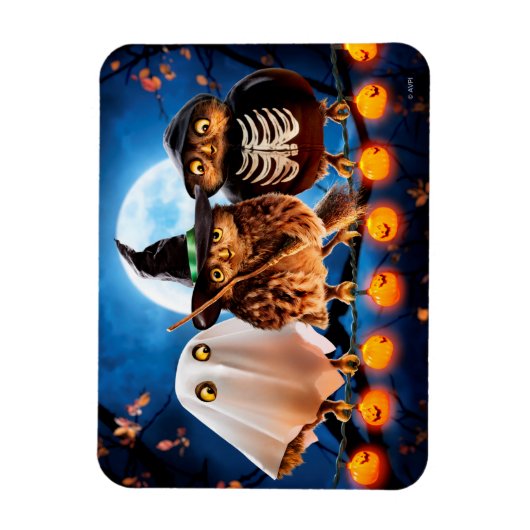 Halloween Owls Magneet (Verticaal)