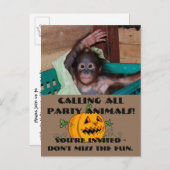 Halloween Party Dieren Uitnodiging Briefkaart (Voorkant / Achterkant)