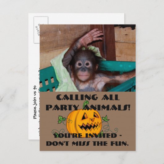 Halloween Party Dieren Uitnodiging Briefkaart (Voorkant / Achterkant)