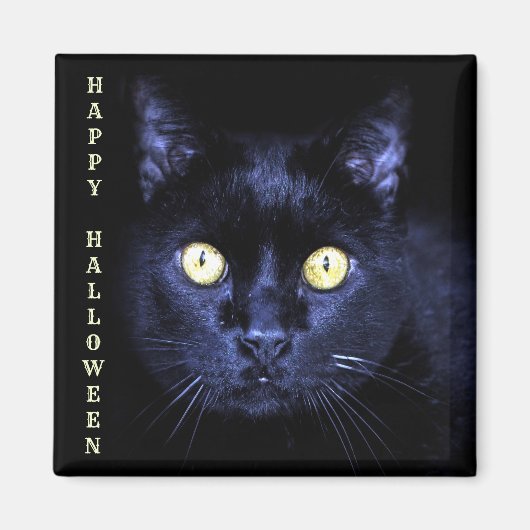 Halloween Party Enge Zwarte Kat Horror Donkere Nac Magneet (Voorkant)