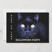 Halloween Party Scary Black Cat Horror Night Kaart (Voorkant)