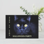 Halloween Party Scary Black Cat Horror Night Kaart (Staand voorkant)