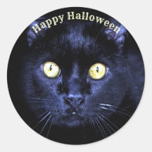 Halloween Party Scary Black Cat Horror Night