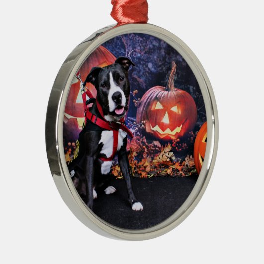 Halloween - Pitbull - Loki Metalen Ornament (Rechts)