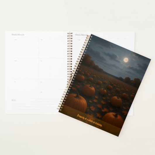 Halloween plezier  planner (Display)