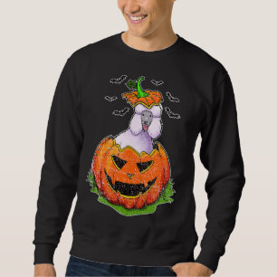 Halloween Poedel Hond Pompoen Jack O Lantern Trui