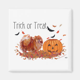 Halloween Pomeranian Magneet