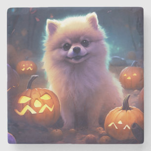 Halloween Pomeranian Met Pompoenen Griezelen  Stenen Onderzetter