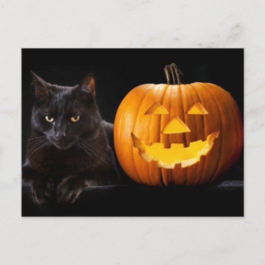 Halloween pomkin en zwarte kat briefkaart (Voorkant)